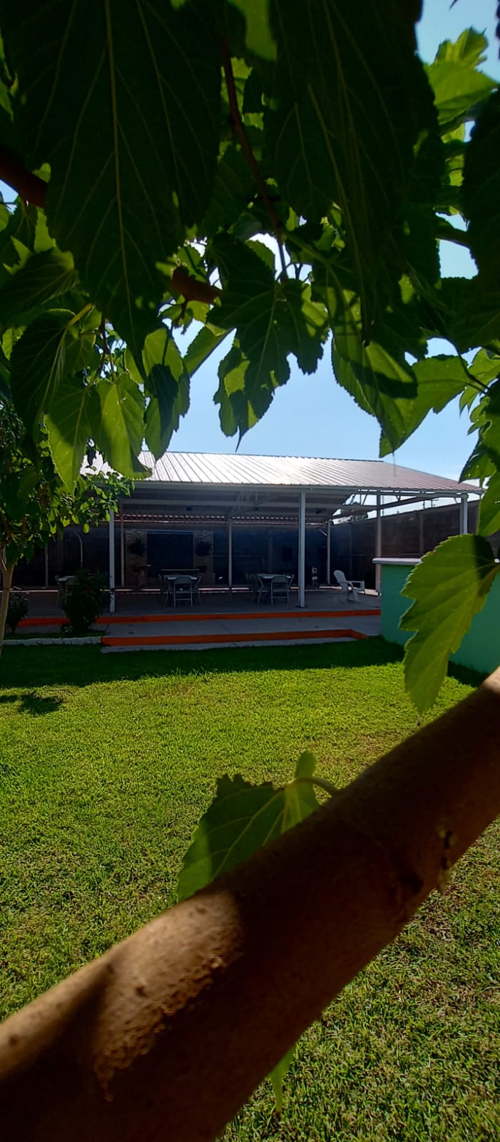 Imagen 6 de la galería