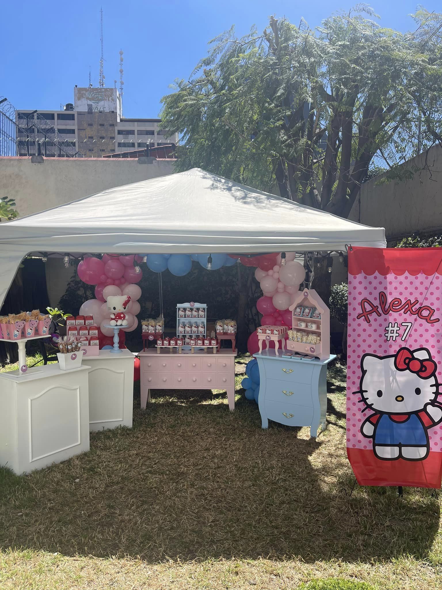 Imagen 2 de la galería