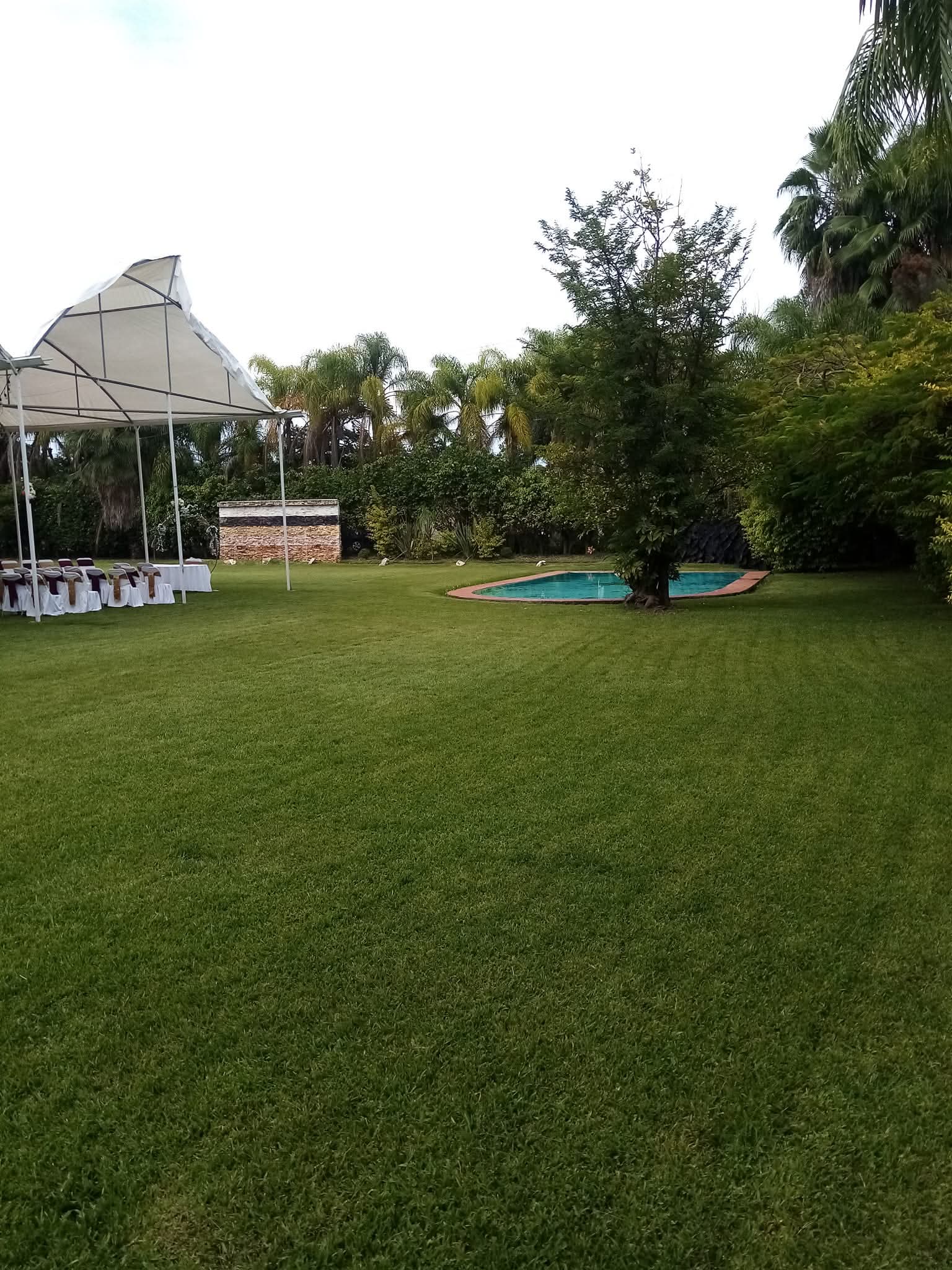 Imagen 2 de la galería