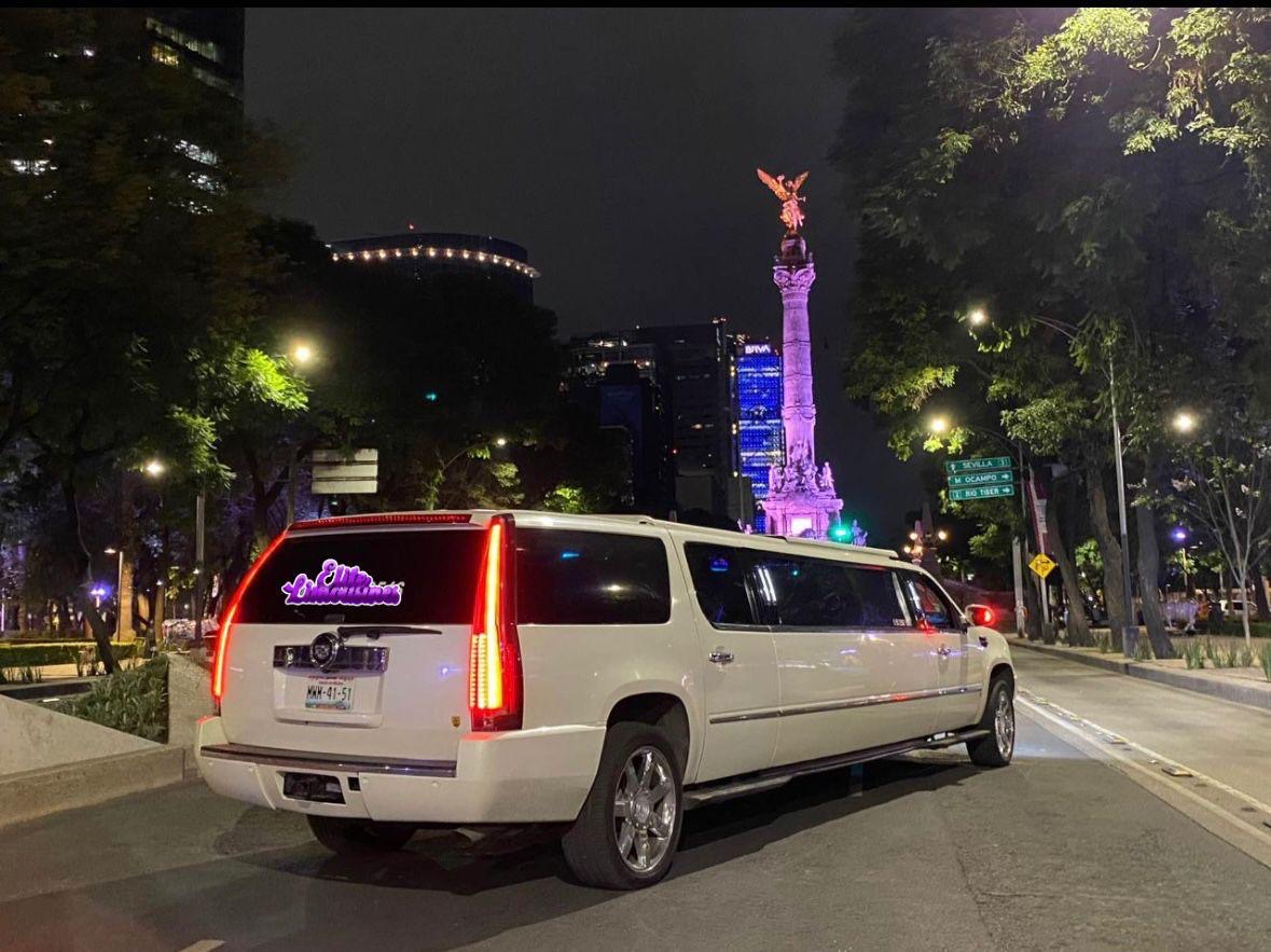 Imagen 7 de la galería