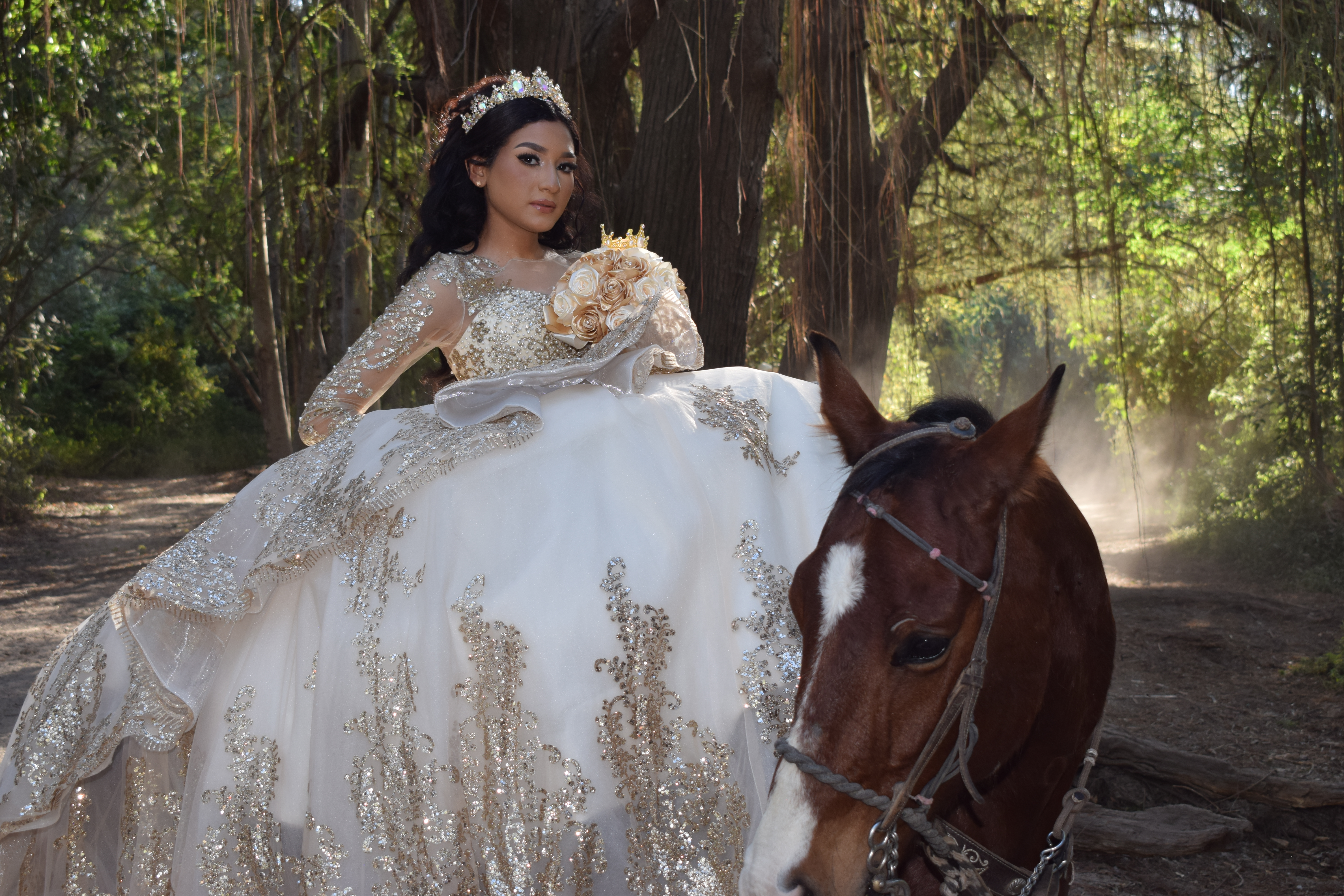 Imagen 1 de la galería