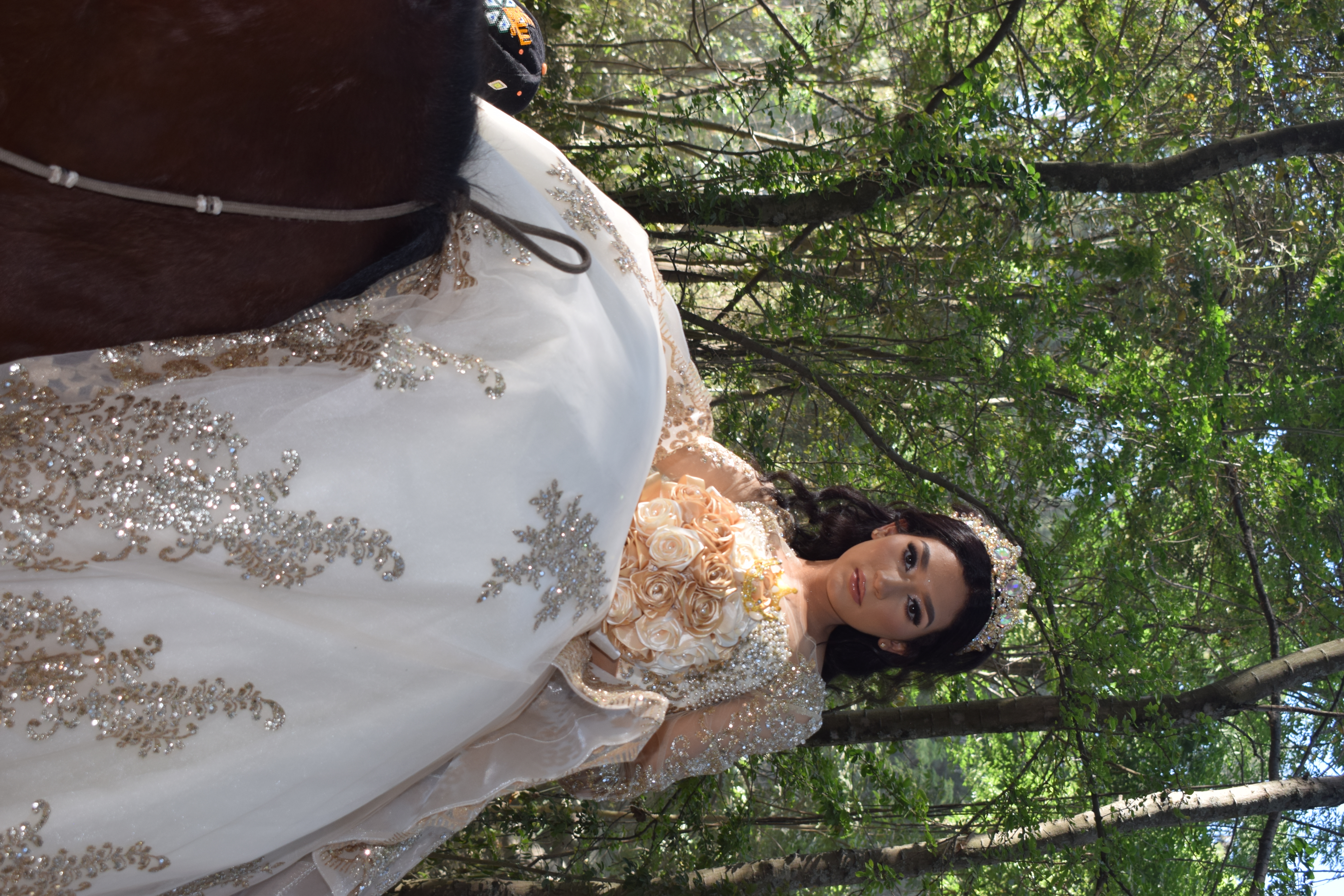 Imagen 3 de la galería