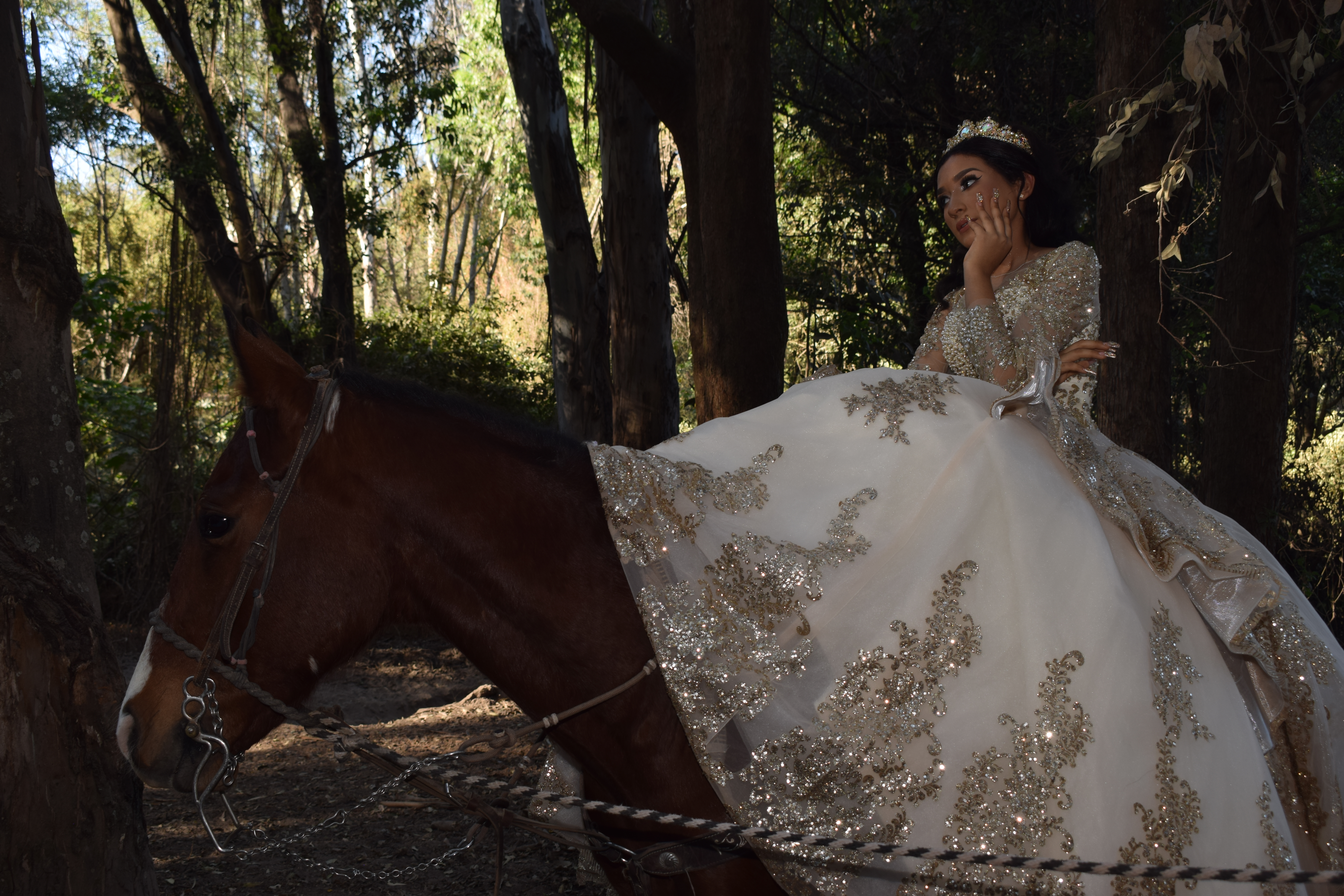 Imagen 4 de la galería