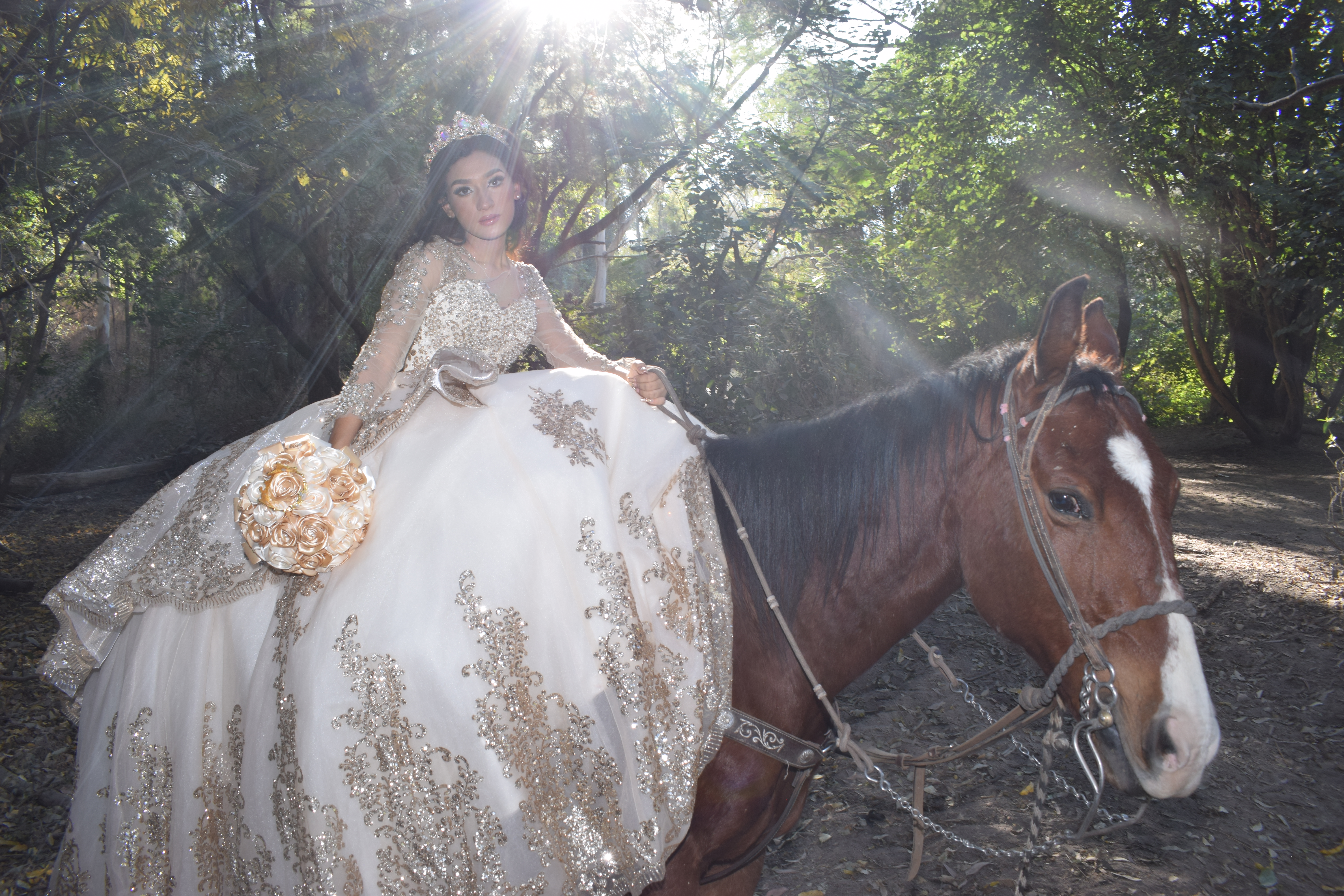 Imagen 5 de la galería