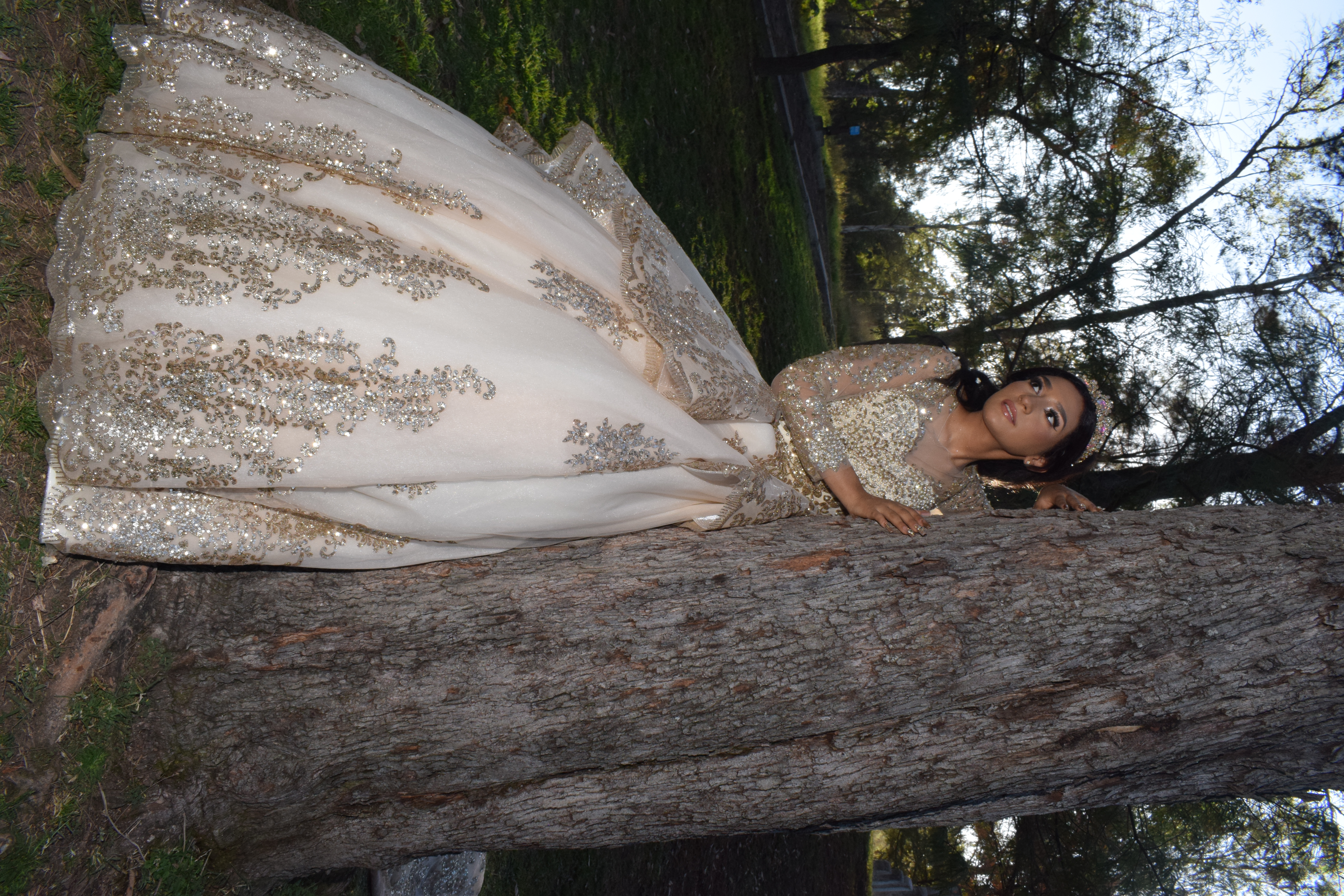 Imagen 10 de la galería