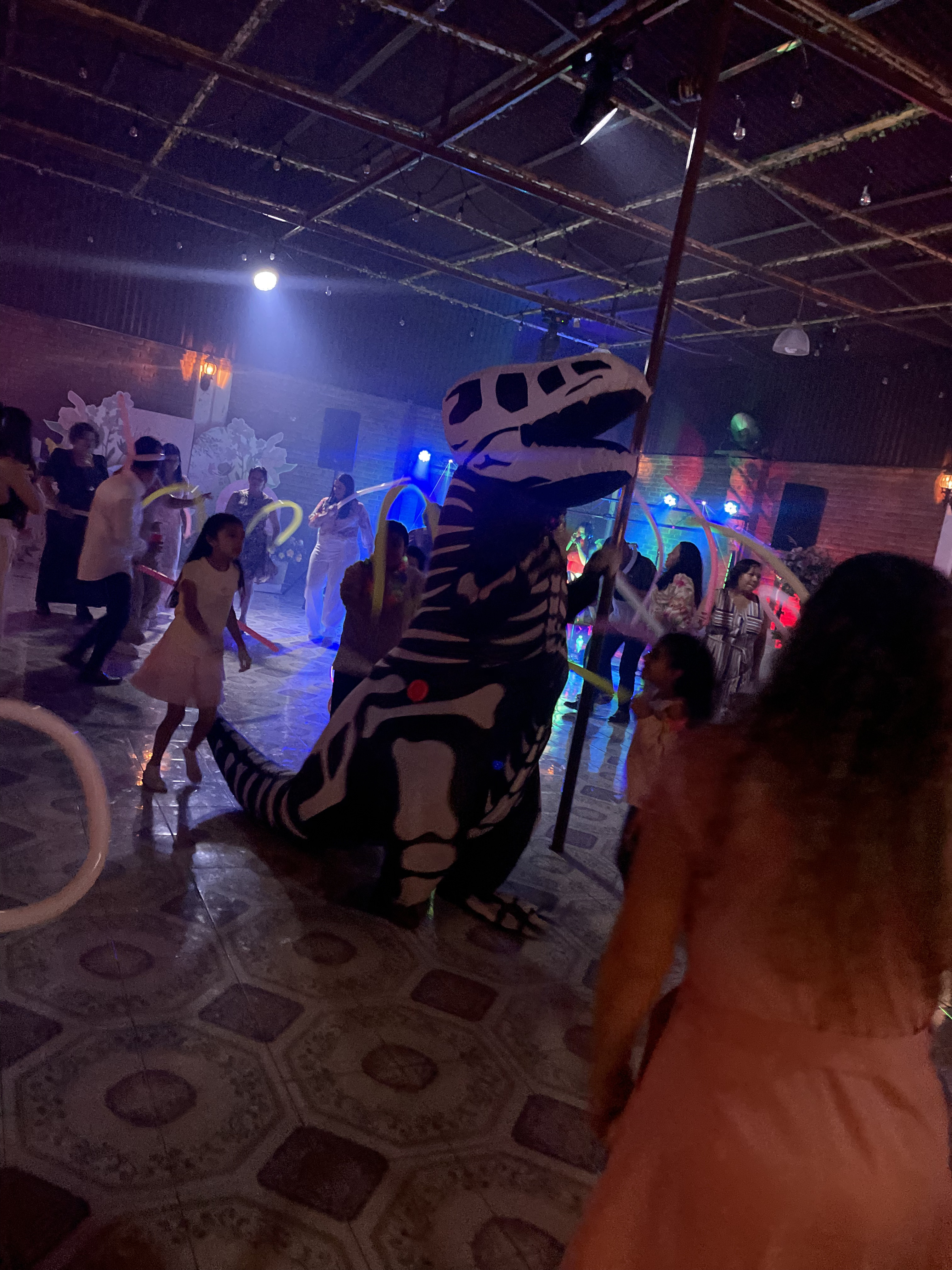 Imagen 3 de la galería