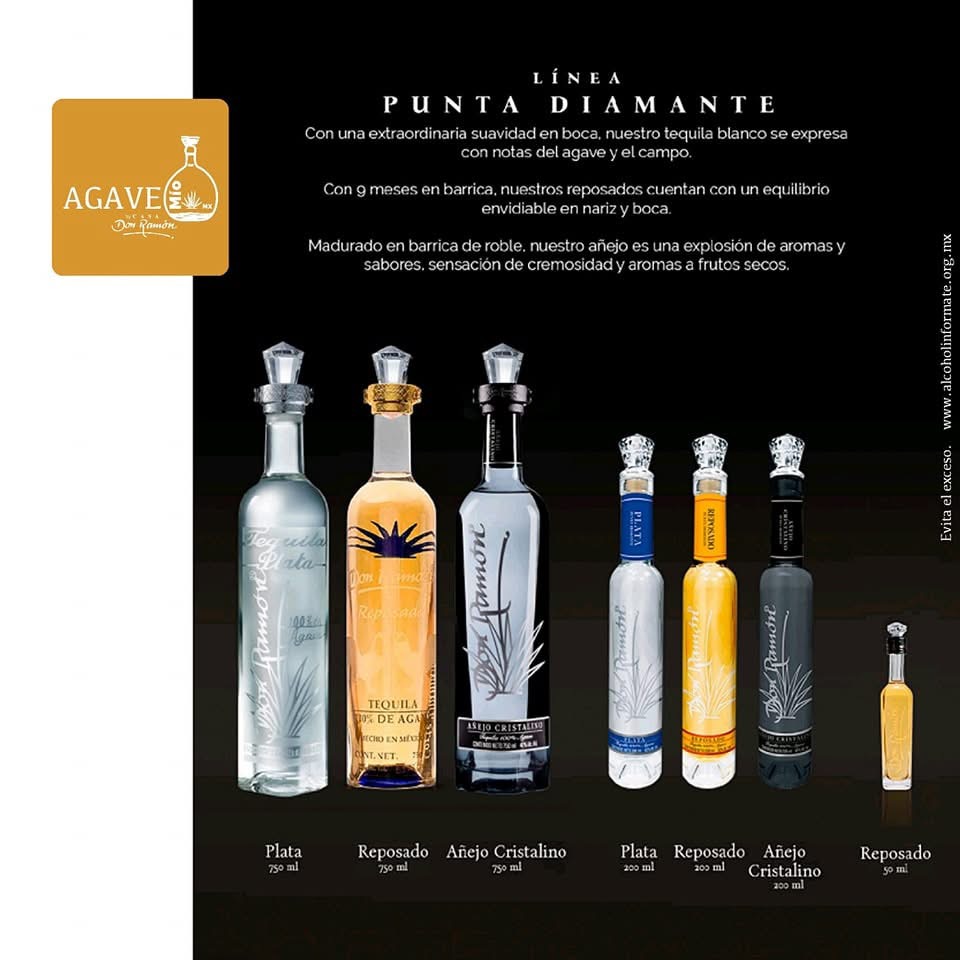 Imagen 7 de la galería