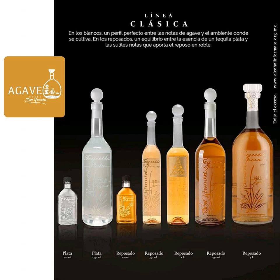 Imagen 6 de la galería