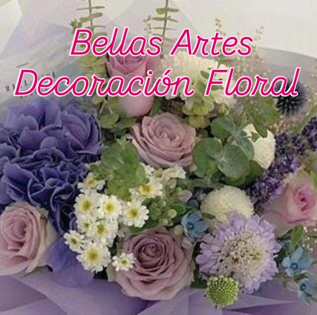 Imagen 5 de la galería