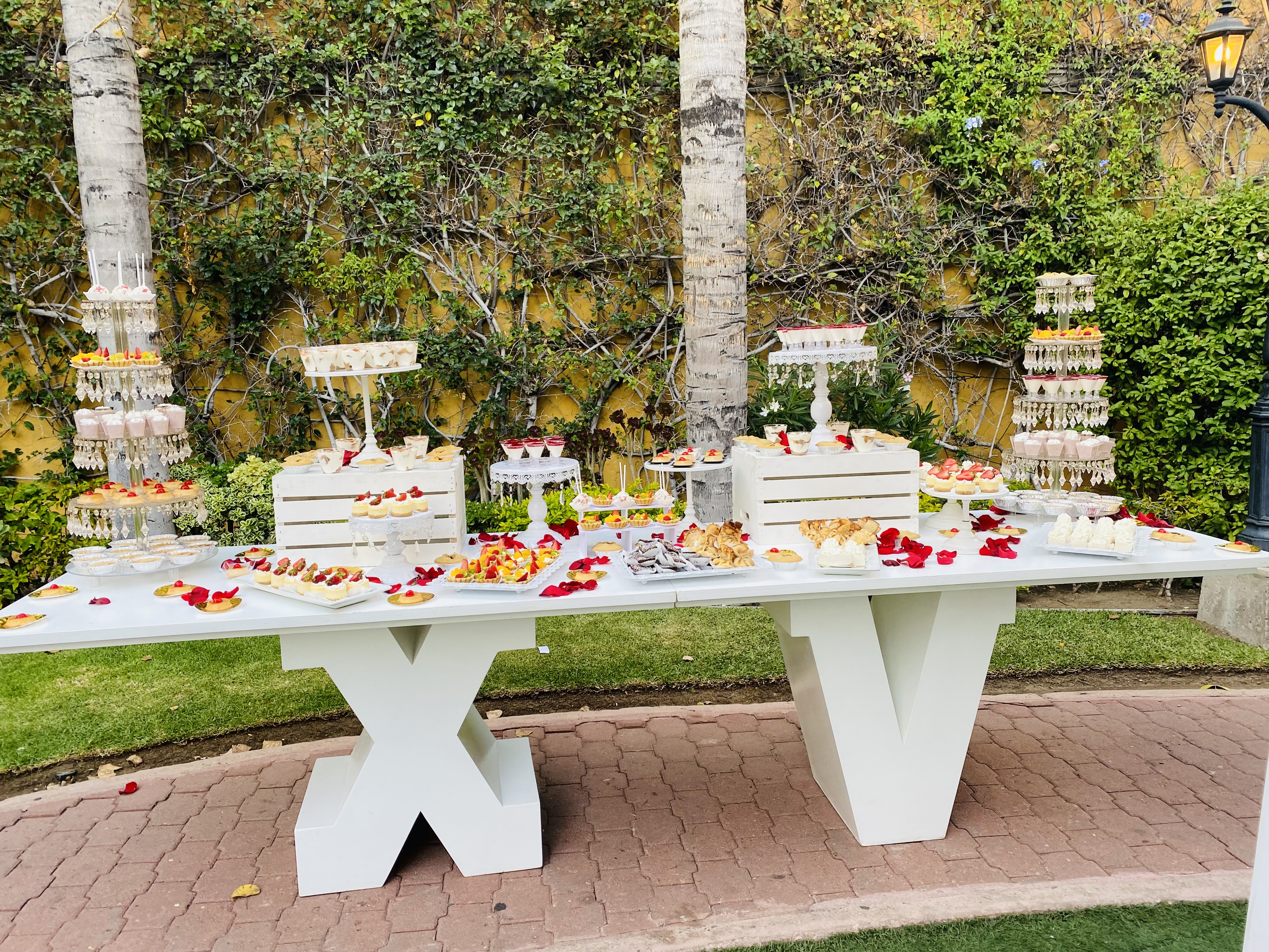 Imagen 8 de la galería