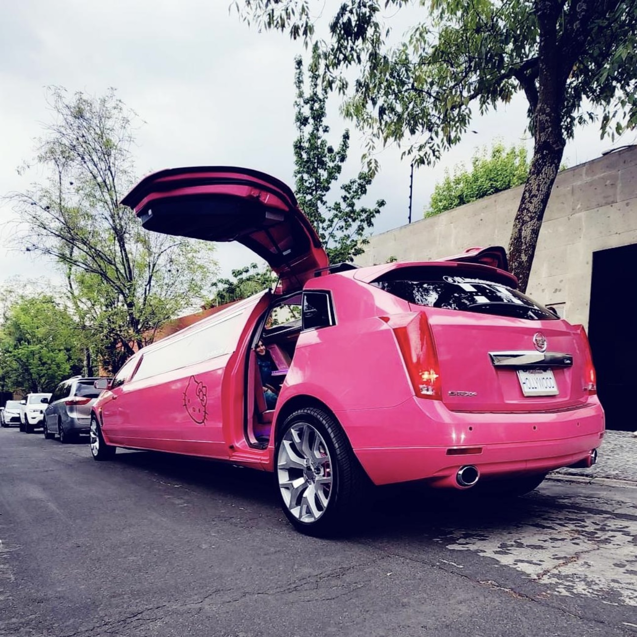 Imagen 6 de la galería