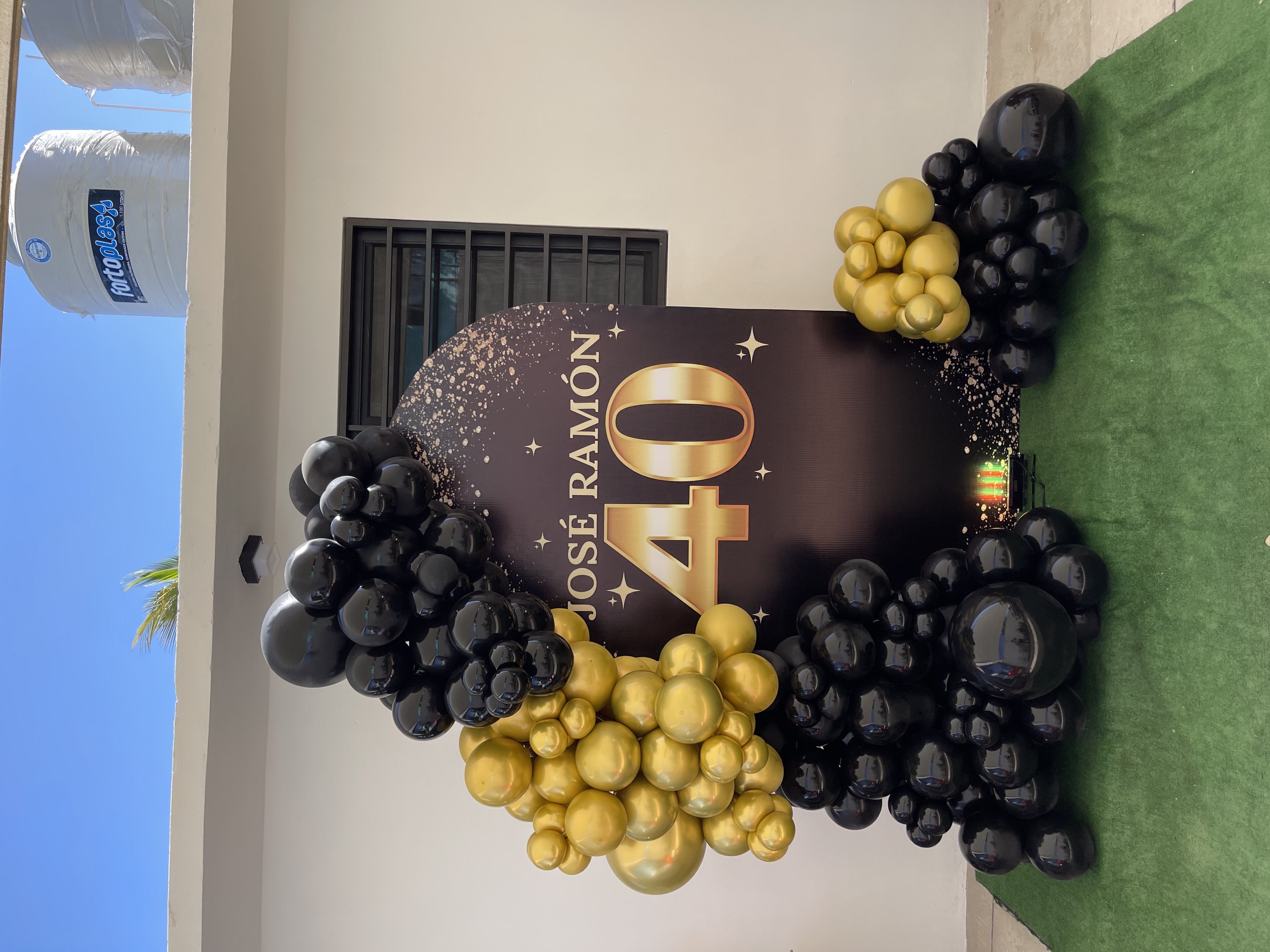 Imagen 1 de la galería