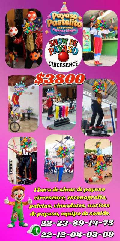 Imagen 8 de la galería