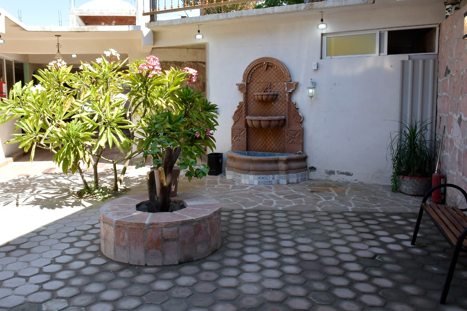 Imagen 1 de la galería