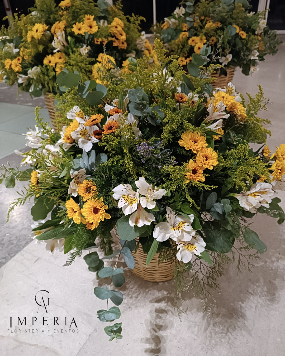 Imagen 5 de la galería