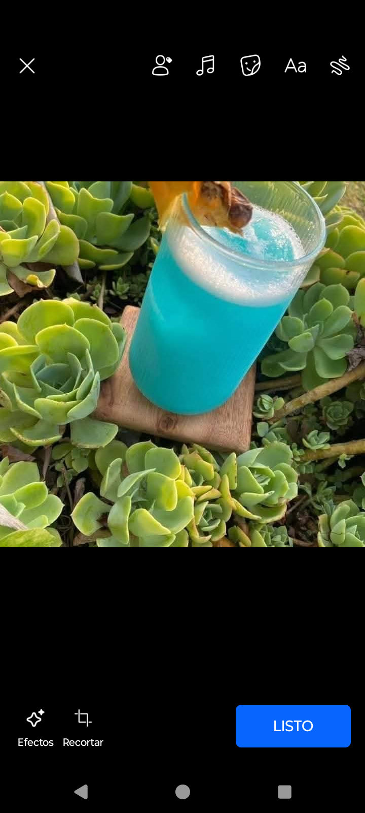 Imagen 8 de la galería