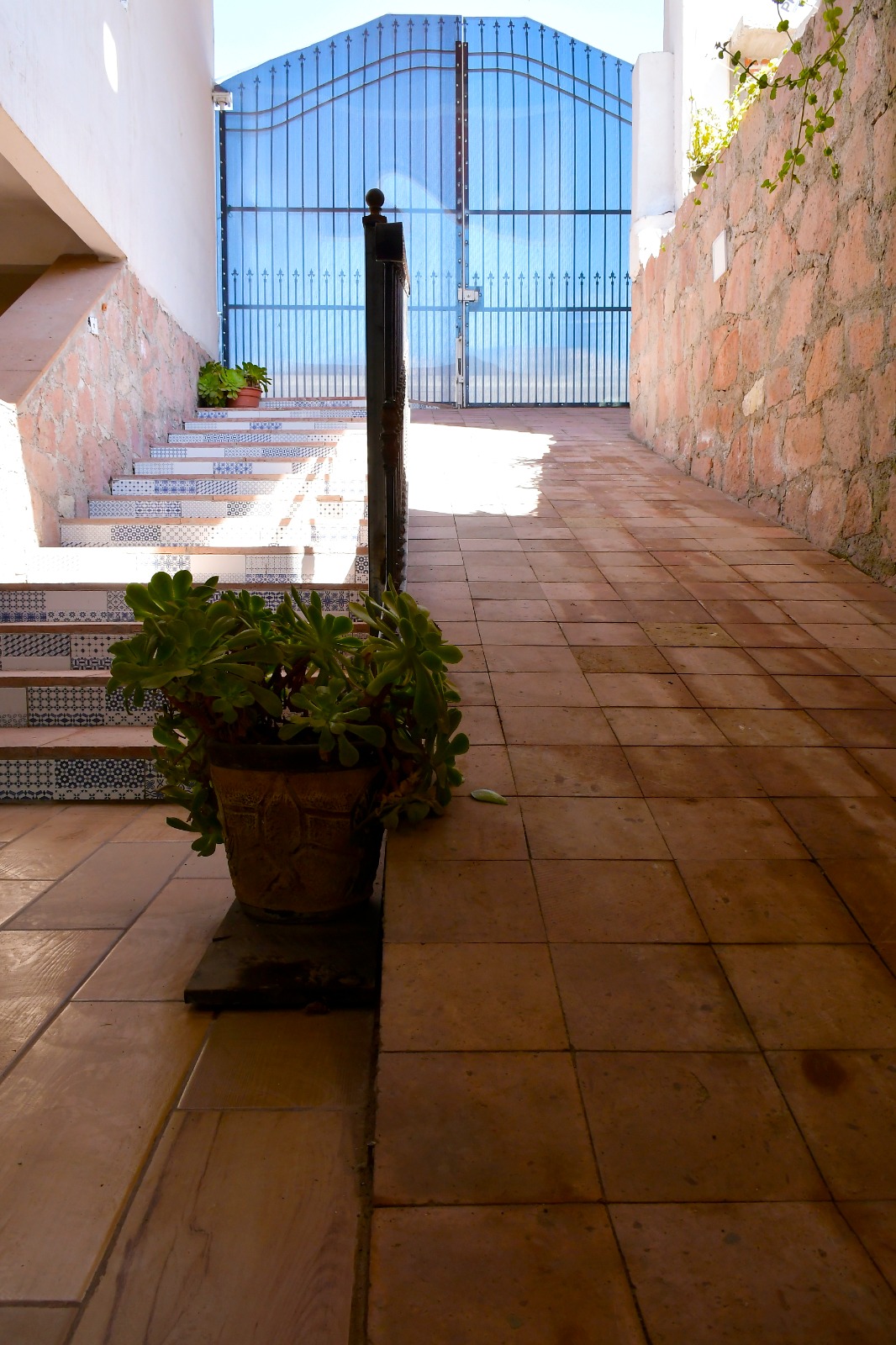 Imagen 8 de la galería