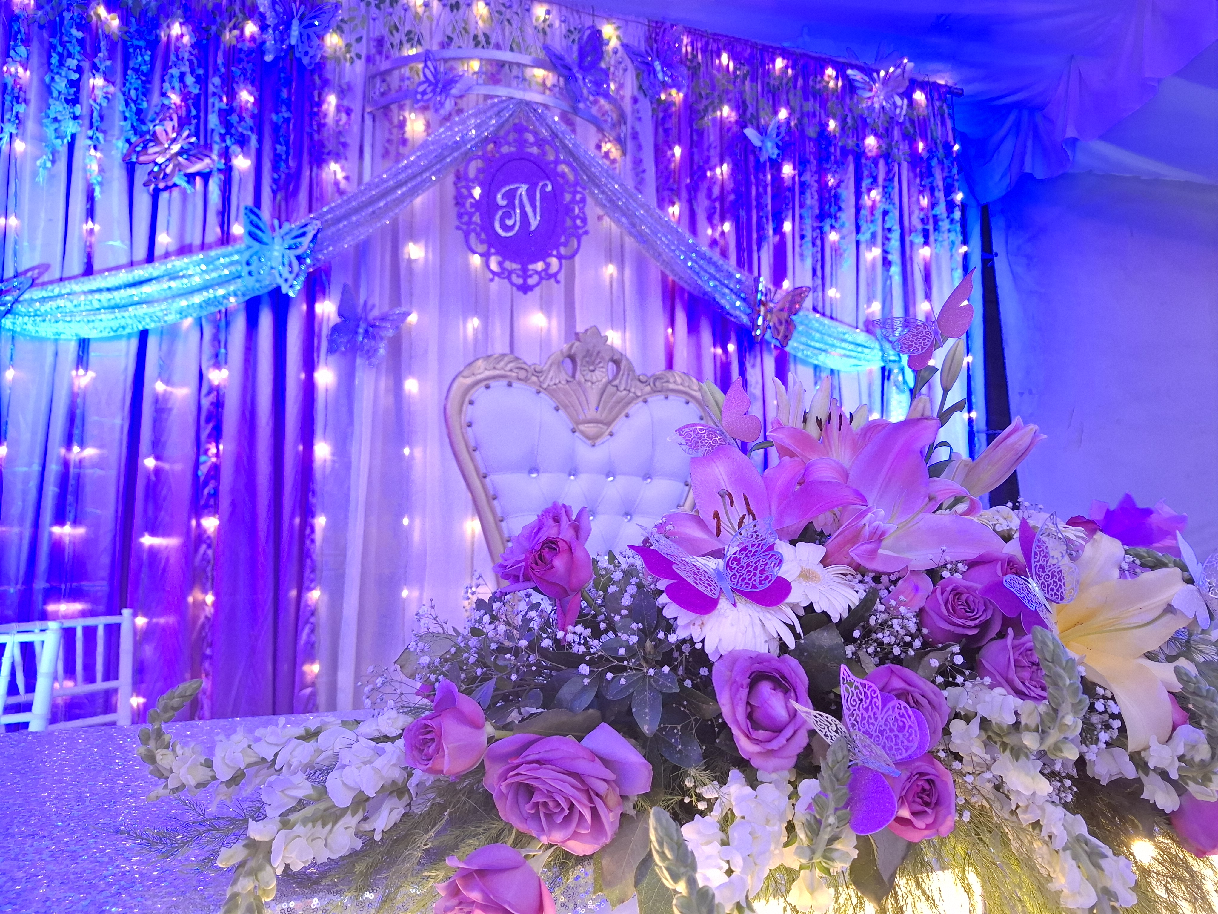 Imagen 1 de la galería