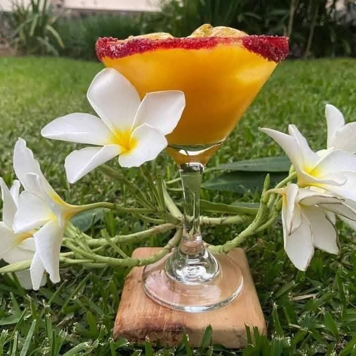 Imagen 7 de la galería